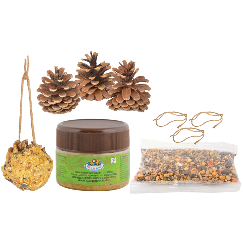 Diy Bird Feeder Pine Cones - Do-It-Yourself