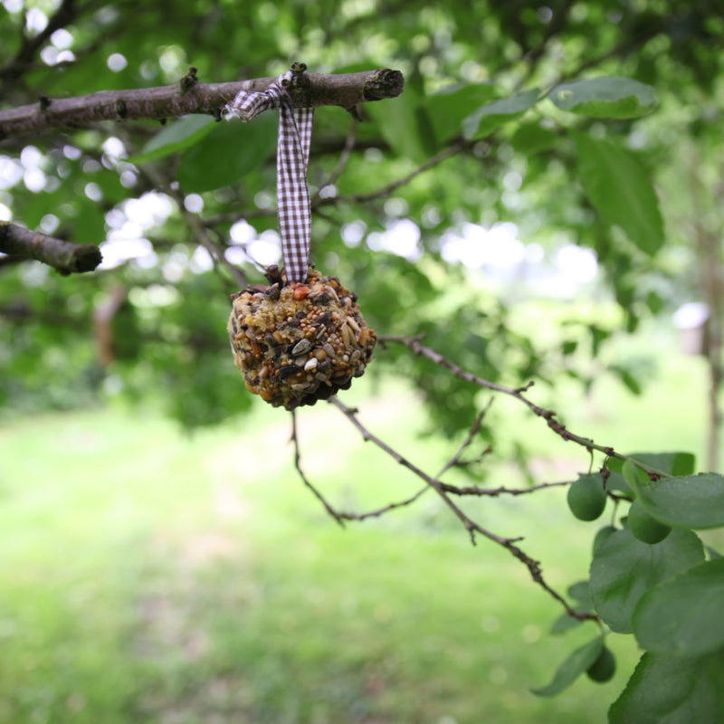 Diy Bird Feeder Pine Cones - Do-It-Yourself