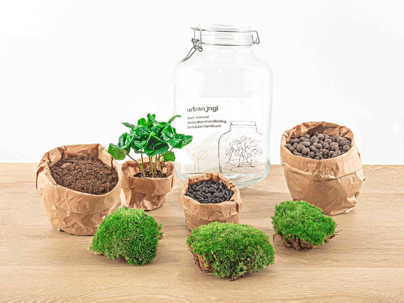 Jar Terrarium Kit - Bottle Garden - ↑ 28 Cm