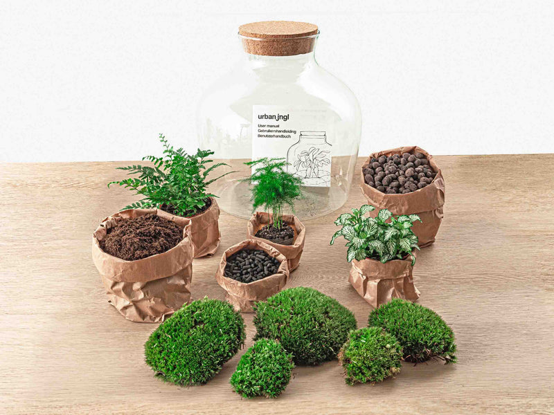 Terrarium Diy Kit - Fat Joe Green - Bottle Garden - ↑ 30 Cm