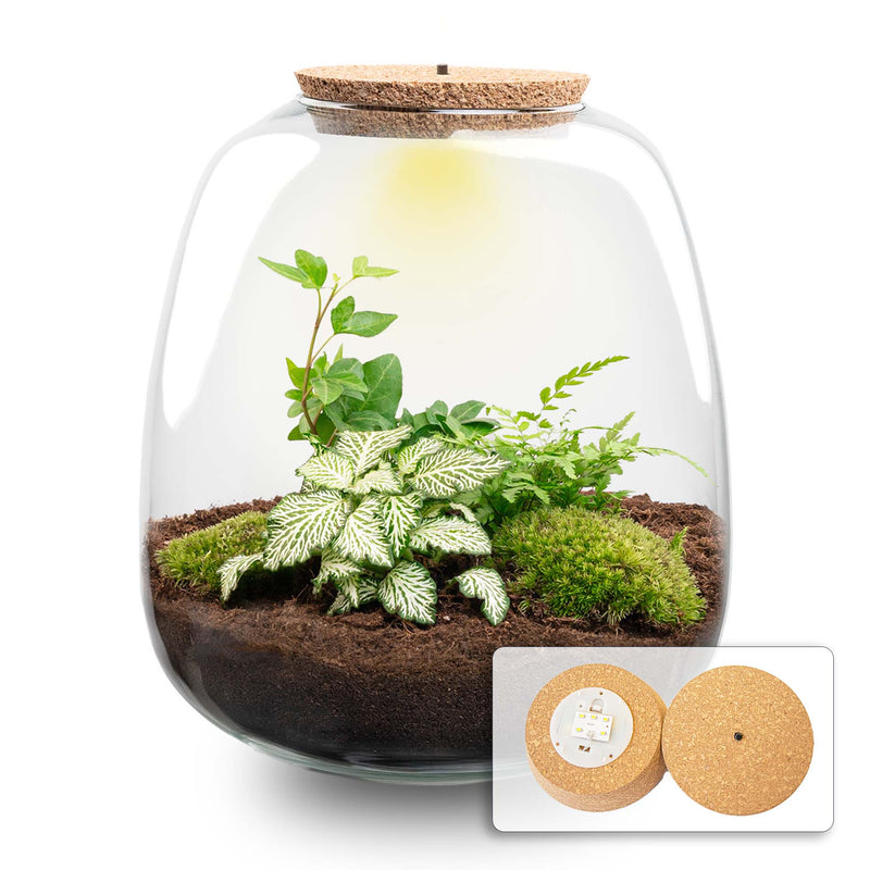 Terrarium Diy Kit - Emma - Diy Kit - ↑ 25 Cm - Ø 23 Cm