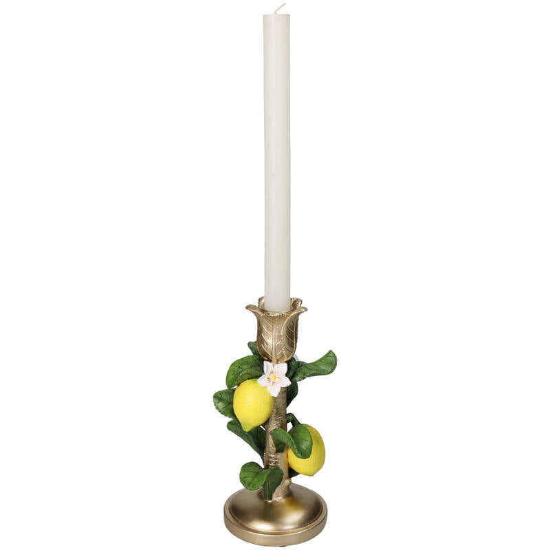 Candle Holder With Lemon Plant - ↑ 22 Cm