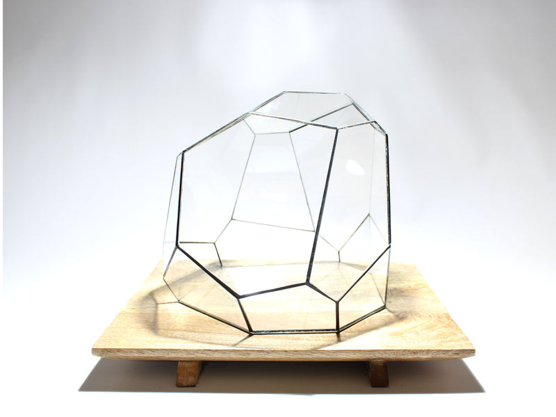 Geometric Terrarium - Torno - Vivarium - ↑ 28 X 26 X 24 Cm (Lxwxh) - Glass