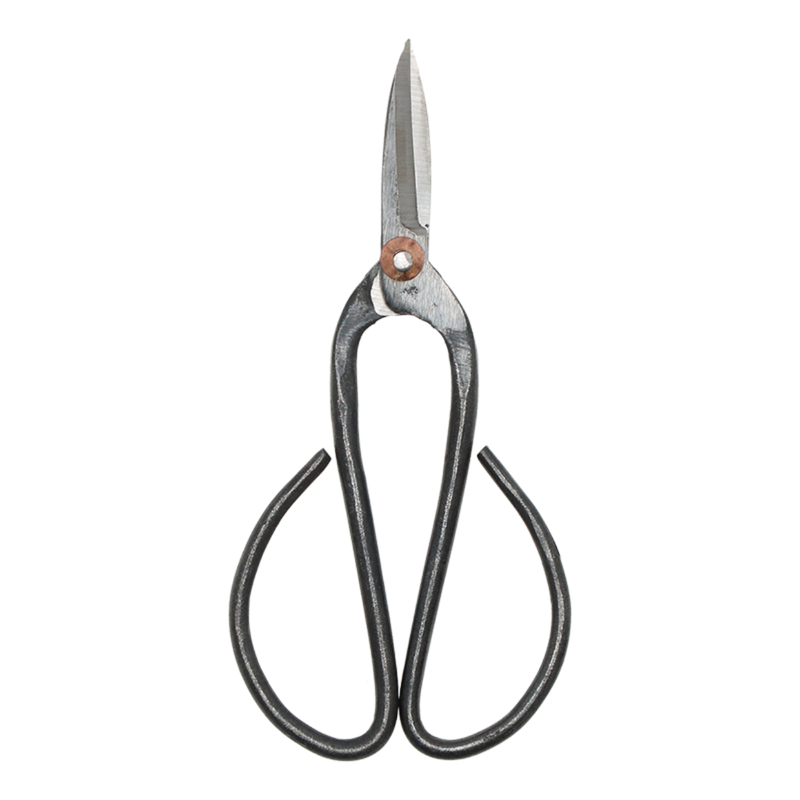 Bonsai Shears L - 19 Cm - Bonsai Tool