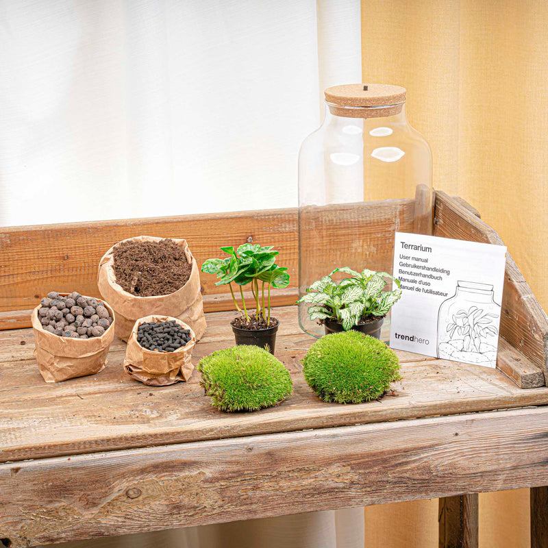 Terrarium Diy Kit - Milky Coffea With Light - Bottle Garden - ↑ 31 Cm