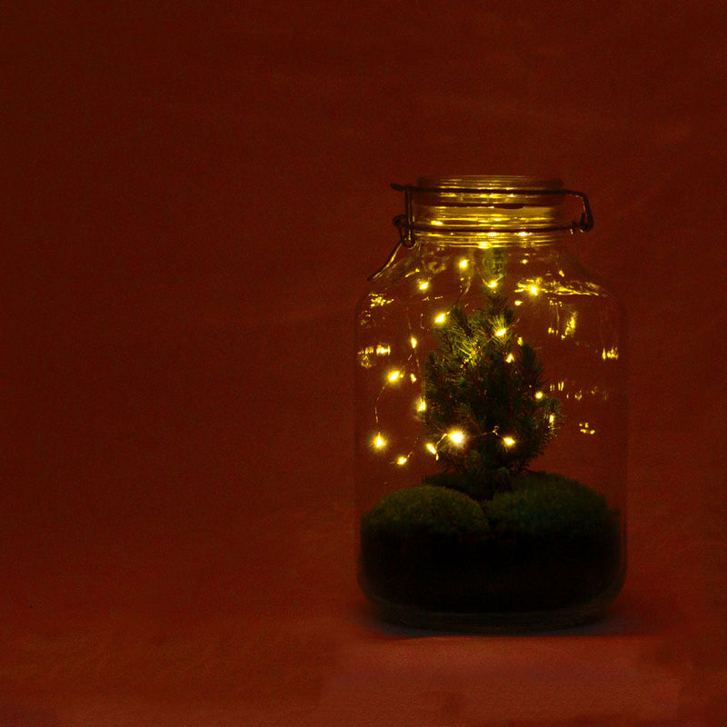 Jar Terrarium Kit - Table Christmas Tree - Bottle Garden - With Lighting - ↑ 28 Cm