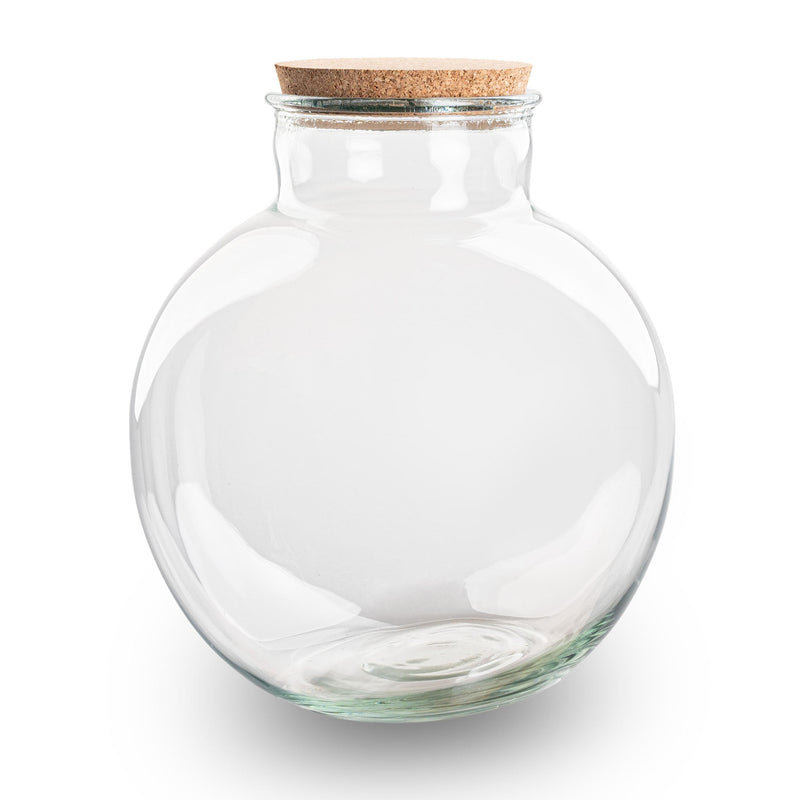 Terrarium Bottle With Cork - Bolder Bob - Closed Terrarium ↑ 30 Cm