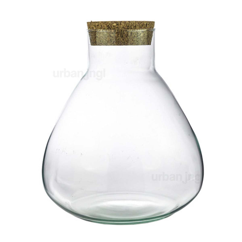 Terrarium With Cork - Sam Xl - Closed Terrarium ↑ 32 Cm