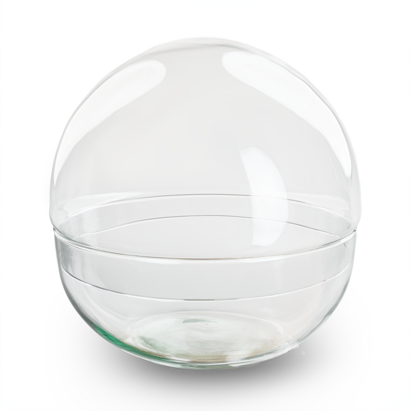 Dome Xl - Globe Glass - Bell Jar - Closed Terrarium ↑30 Cm