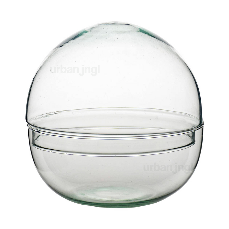 Dome - Globe Glass - Bell Jar - Closed Terrarium ↑20 Cm