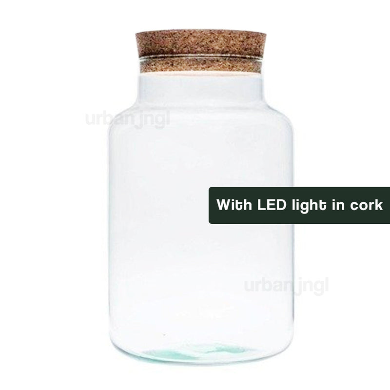 Terrarium With Led Cork - Milky Led - Closed Terrarium ↑31 Cm