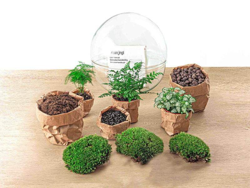 Terrarium Diy Kit - Dome Xl - Bottle Garden - ↑ 30 Cm