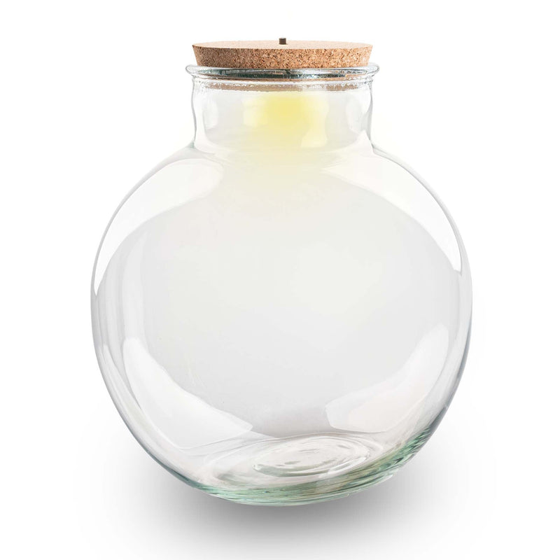 Terrarium Bottle With Led Cork - Bolder Bob - ↑ 30 Cm