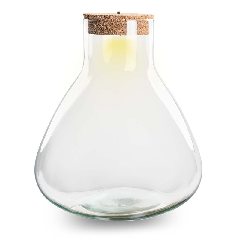 Terrarium With Cork - Sam Xl + Led Cork - ↑ 32 Cm