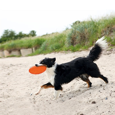 Trixie Rubber Frisbee Dog 0 Soar Assorti