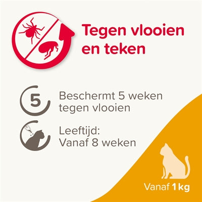 Beaphar Fiprotec Kat Tegen Vlooien & Teken