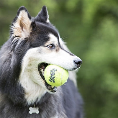 Kong Squeakair Tennisbal Geel Met Piep