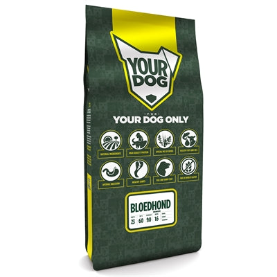 Yourdog Bloedhond Senior