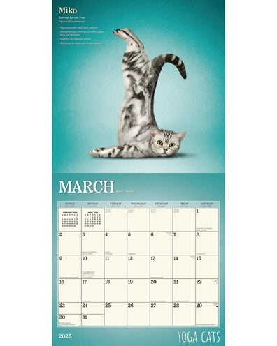 Merkloos Kalender Yoga Cats 2025