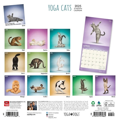 Merkloos Kalender Yoga Cats 2025