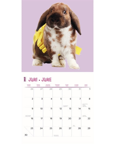 Merkloos Kalender Rabbits Studio 2025