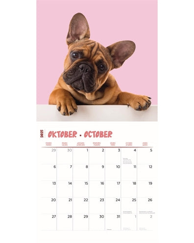 Merkloos Kalender Frenchies Studio 2025