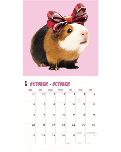 Merkloos Kalender Cavia's Studio 2025