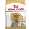 Royal canin yorkshire terrier