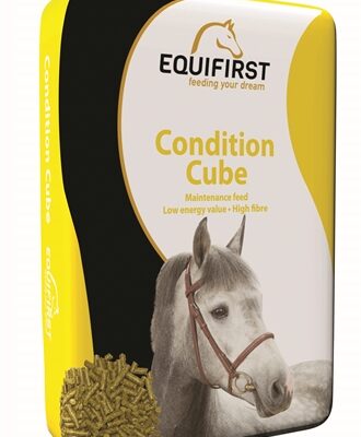 Equifirst condition cube