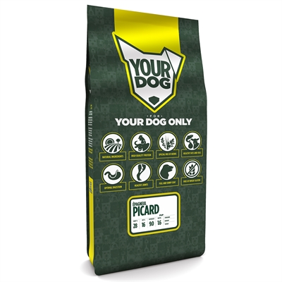 Yourdog Épagneul picard pup