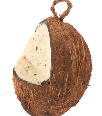 Suet to go hele  kokosnoot met meelworm